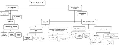 Characteristics, Treatment Complexity, and Outcome of Mixed-Phenotype Acute Leukemia in Children in a Low–Middle-Income Country